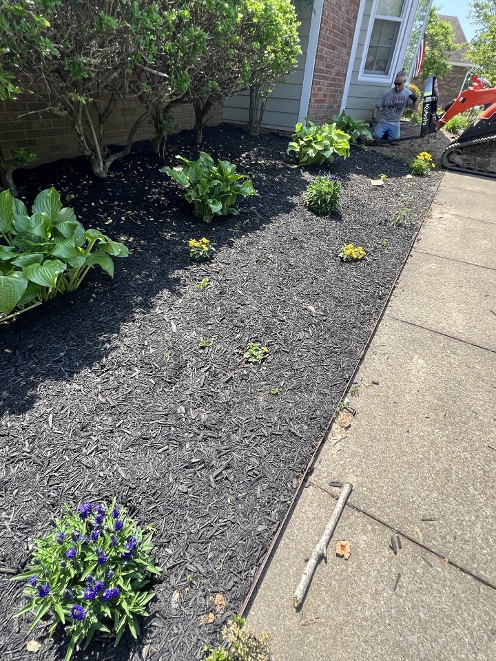 Planting New Plants and Mulching